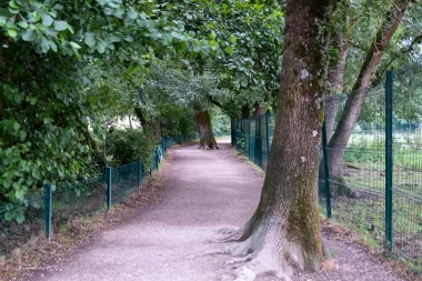 Parc René Canivenc de Gradignan (3).
